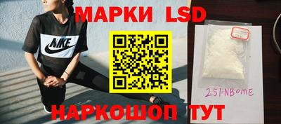 индика Гай
