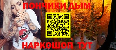 Альфа ПВП Гатчина