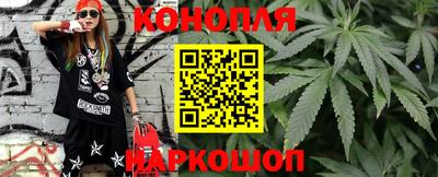 индика Гай