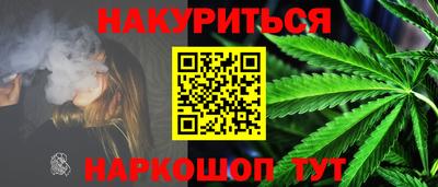 Альфа ПВП Гатчина