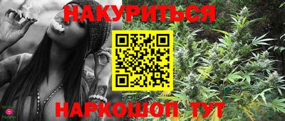 индика Гай