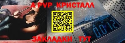индика Гай
